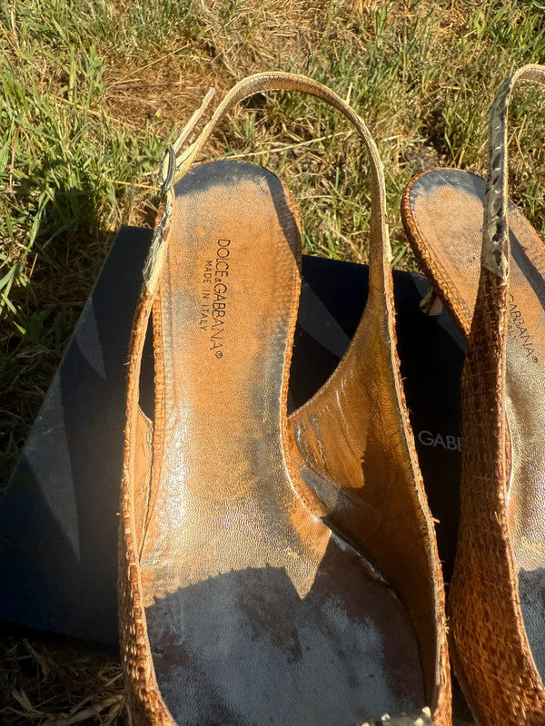 Tacchi Slingback Dolce & Gabbana in vipera