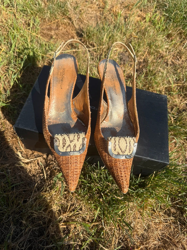 Tacchi Slingback Dolce & Gabbana in vipera