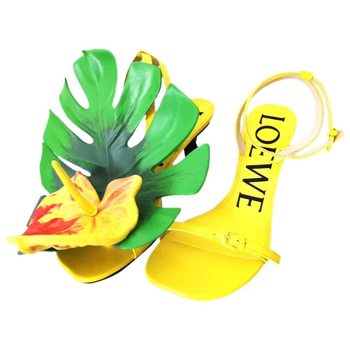 Loewe