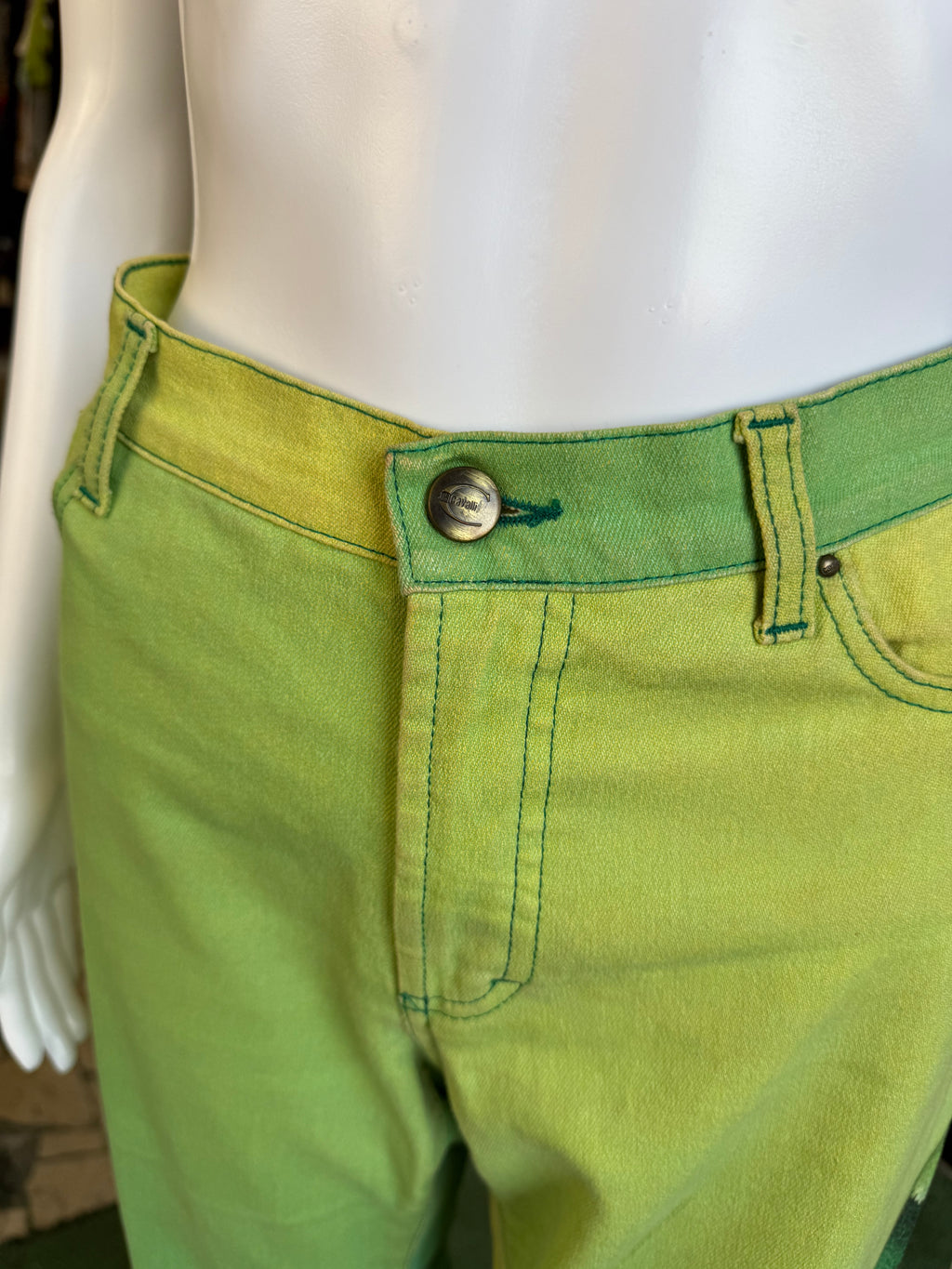 Jeans Roberto Cavalli verde iguana 00s