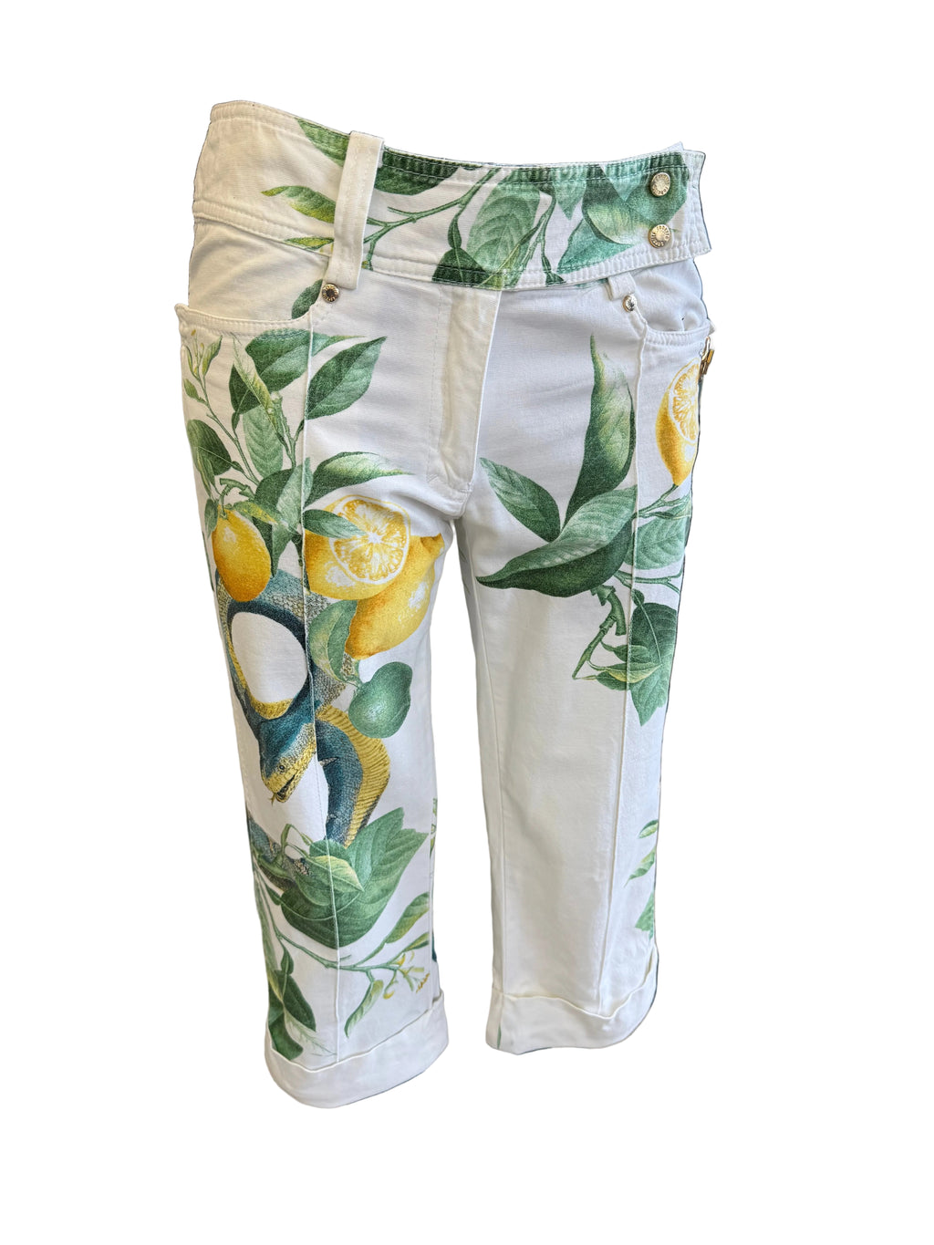 Pantaloni Roberto Cavalli SS2005 limoni e serpenti