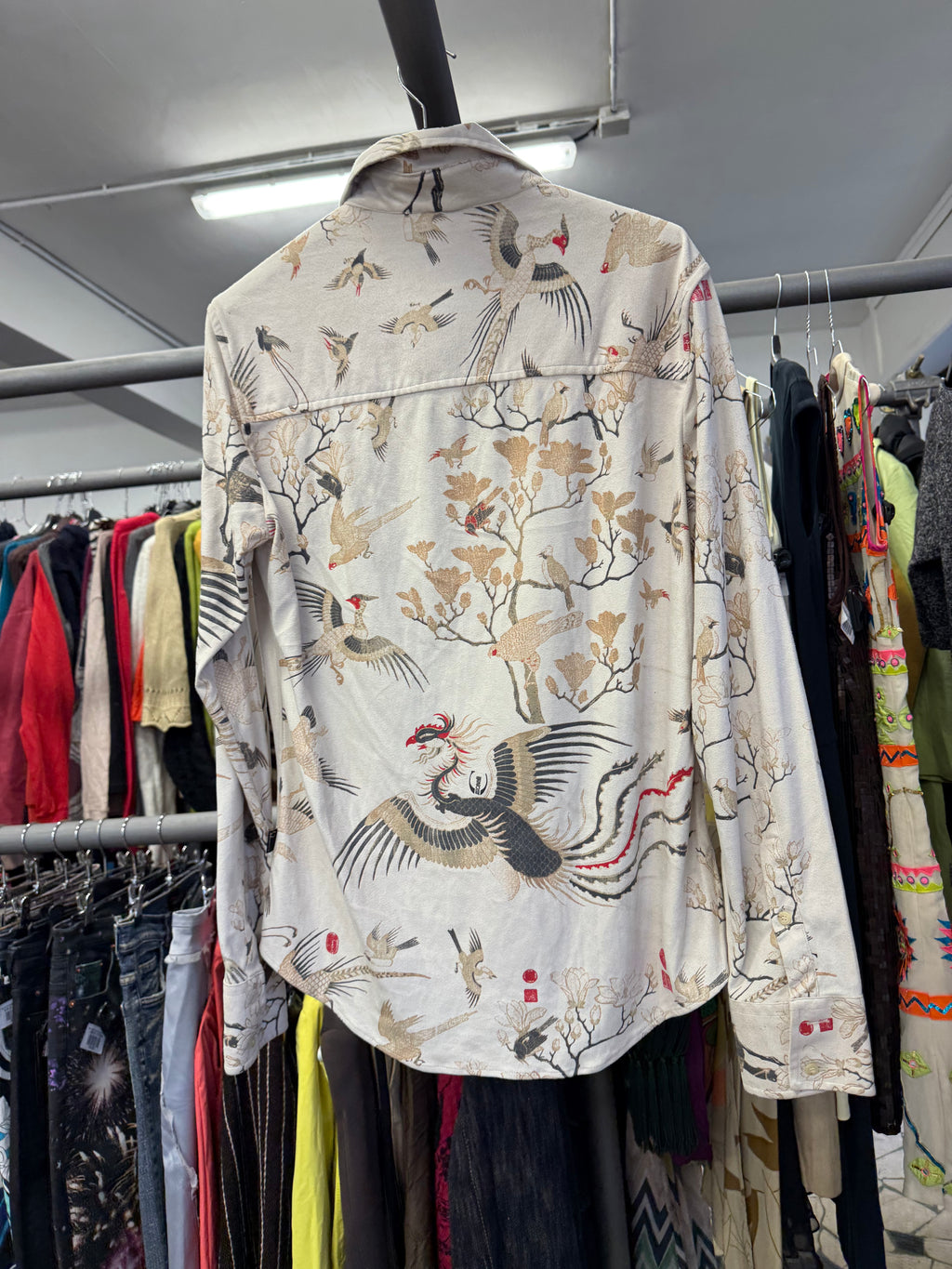 Camicia Roberto Cavalli uomo aironi