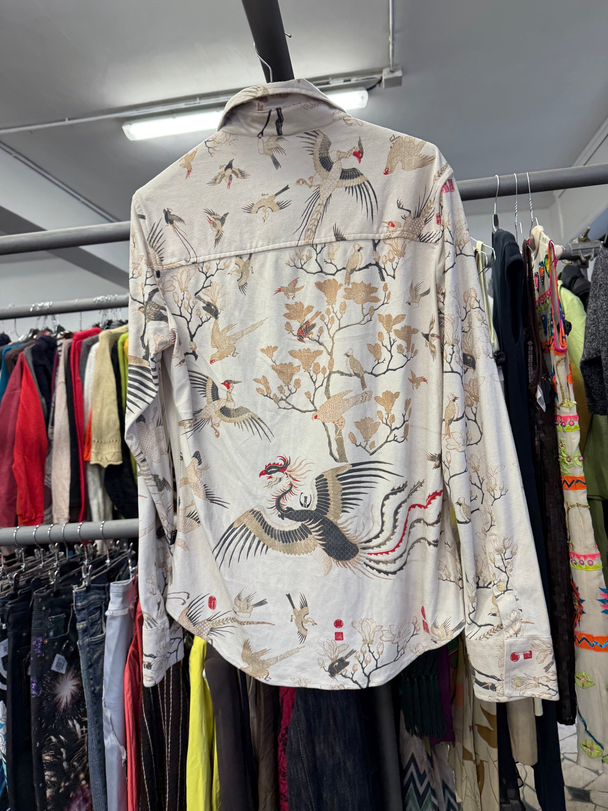 Camicia Roberto Cavalli uomo aironi