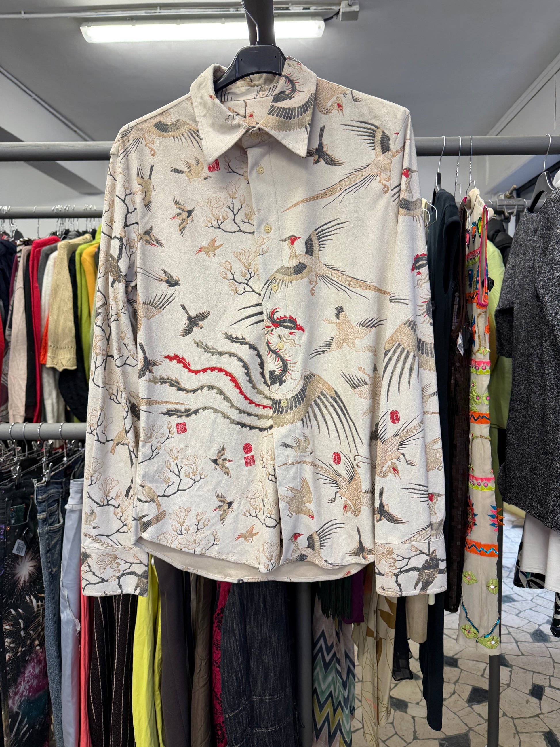 Camicia Roberto Cavalli uomo aironi