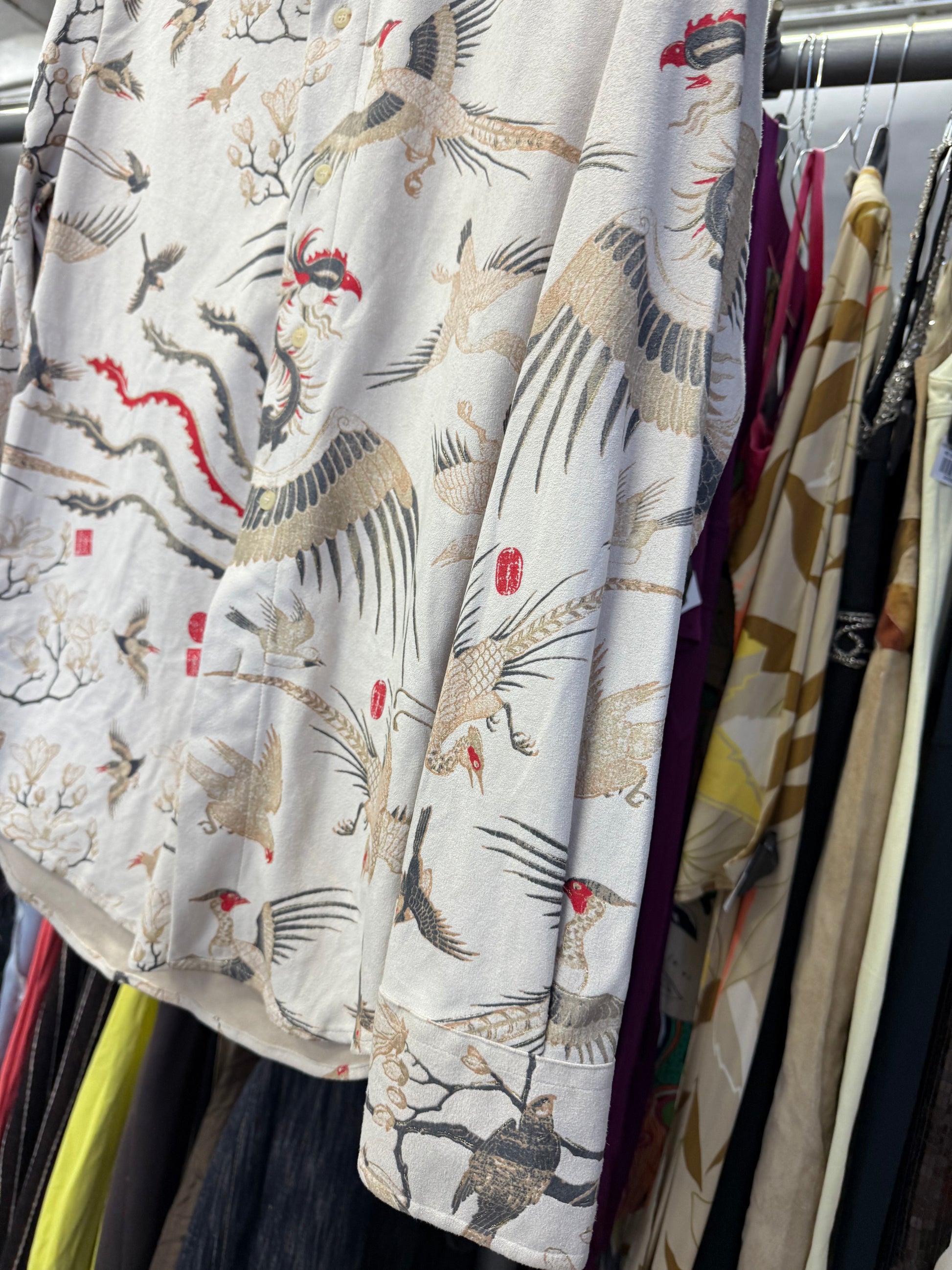 Camicia Roberto Cavalli uomo aironi