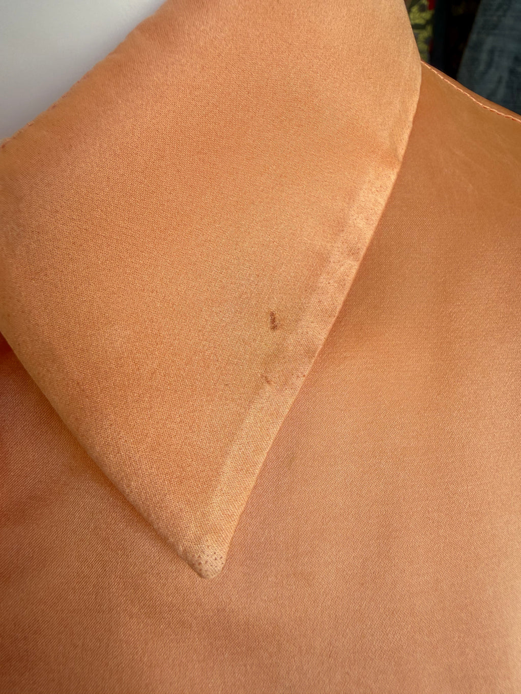 Camicia Roberto Cavalli SS2004 gioiello