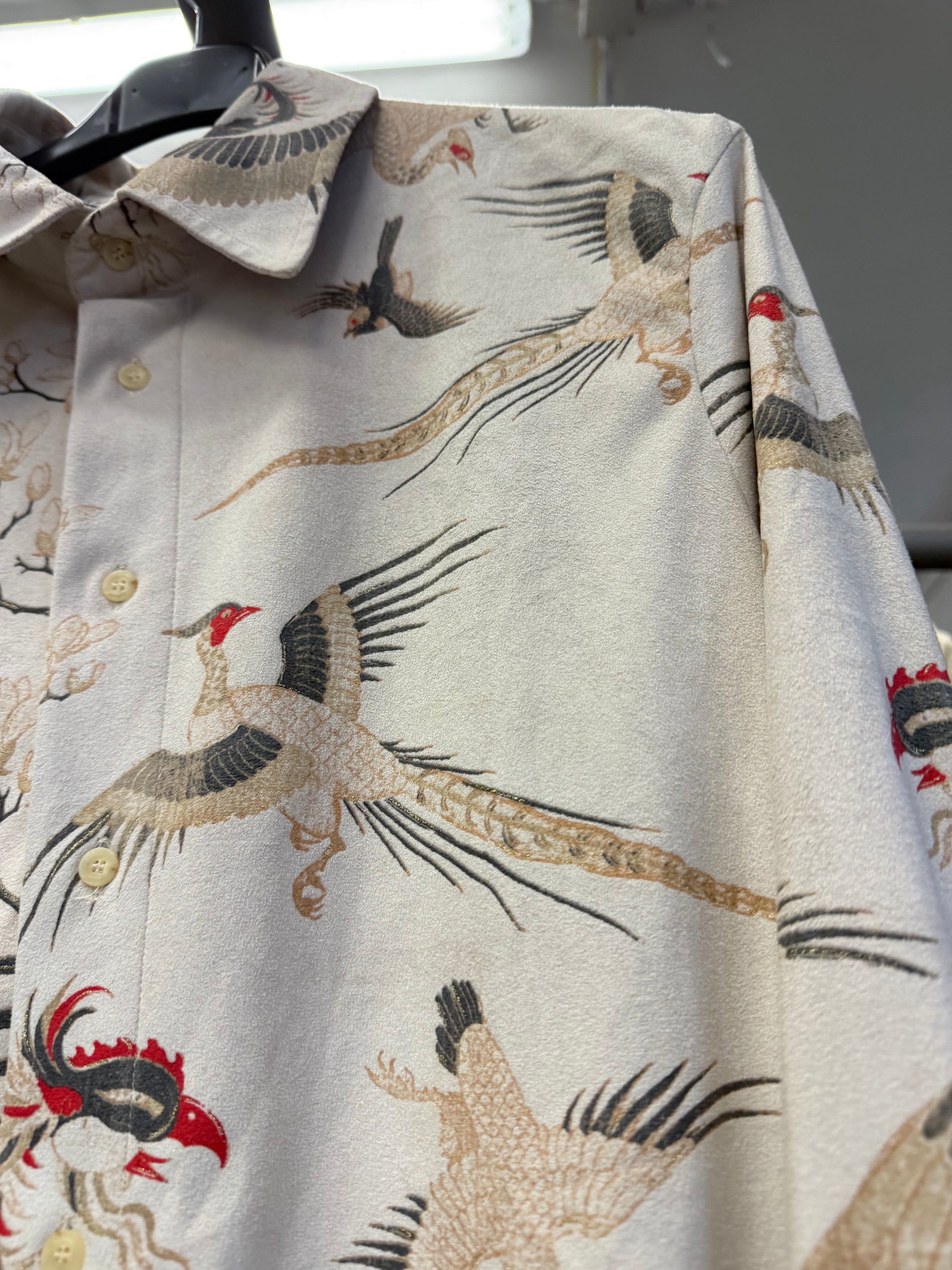 Camicia Roberto Cavalli uomo aironi