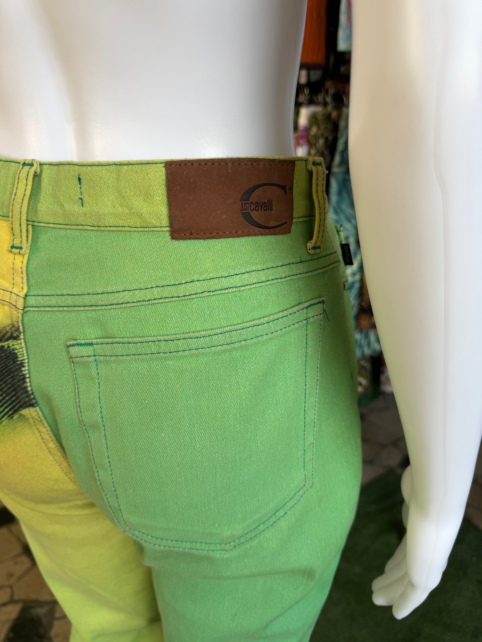 Jeans Roberto Cavalli verde iguana 00s