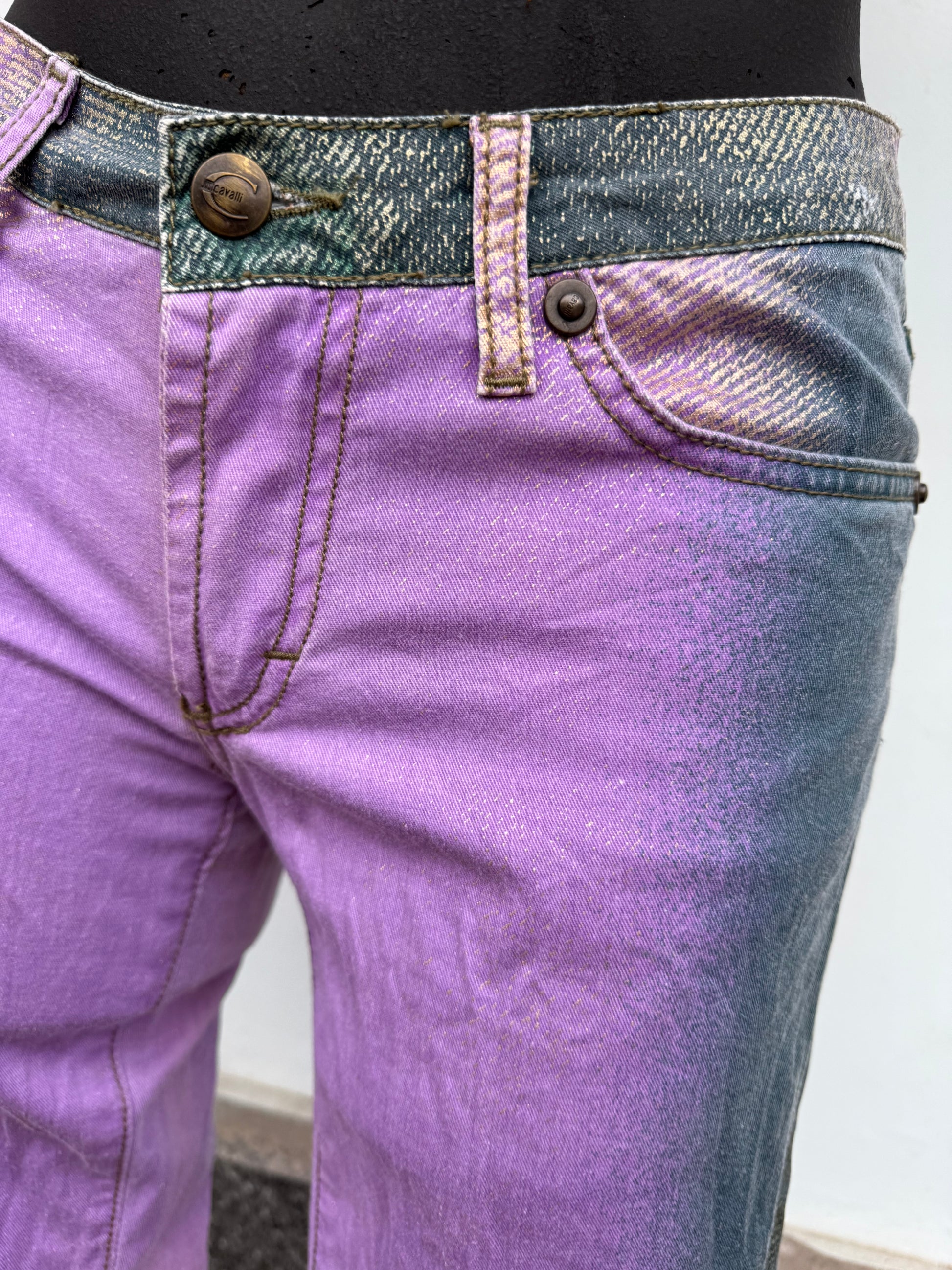 Jeans Roberto Cavalli Just multicolore anni 2000