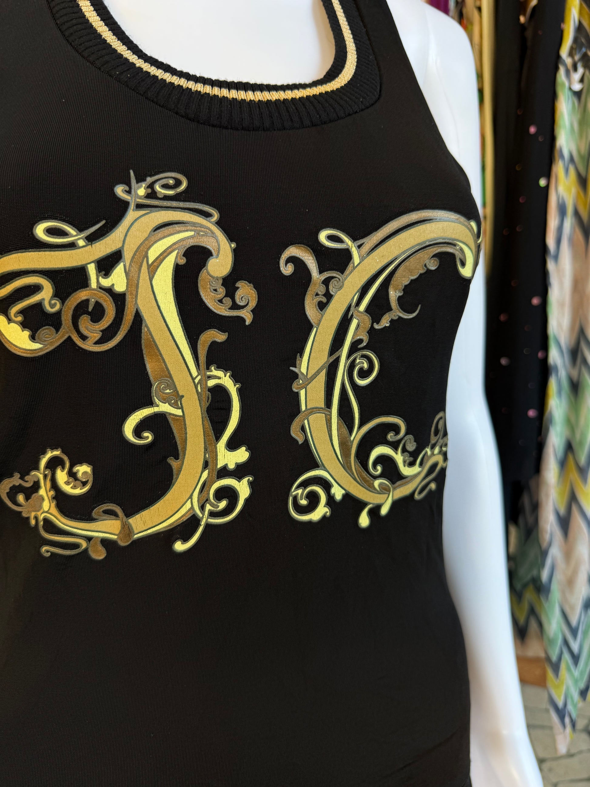 Top Roberto Cavalli logo just 00s