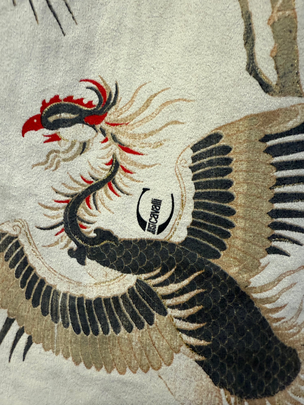 Camicia Roberto Cavalli uomo aironi