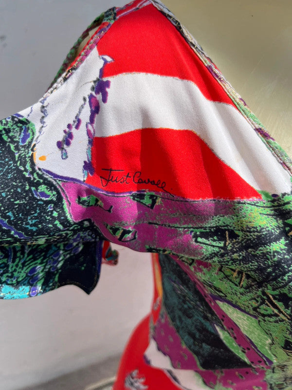 Abito Roberto Cavalli multicolore 2000"