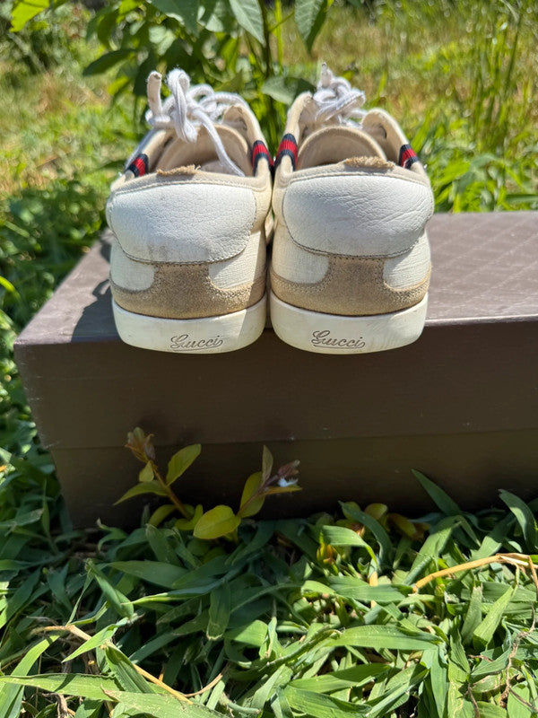 Sneaker Gucci uomo