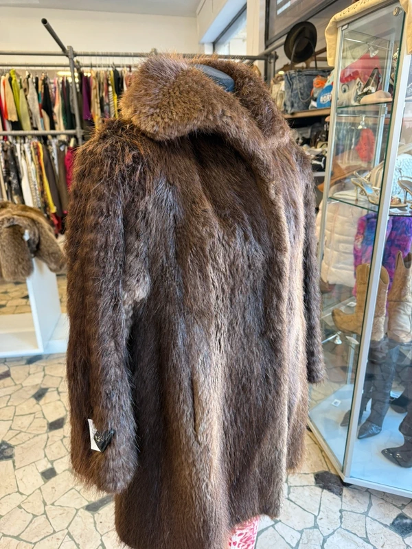 Elegantissima marmotta corta