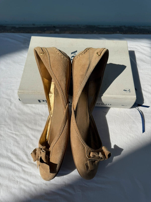 Ballerine CarShoe