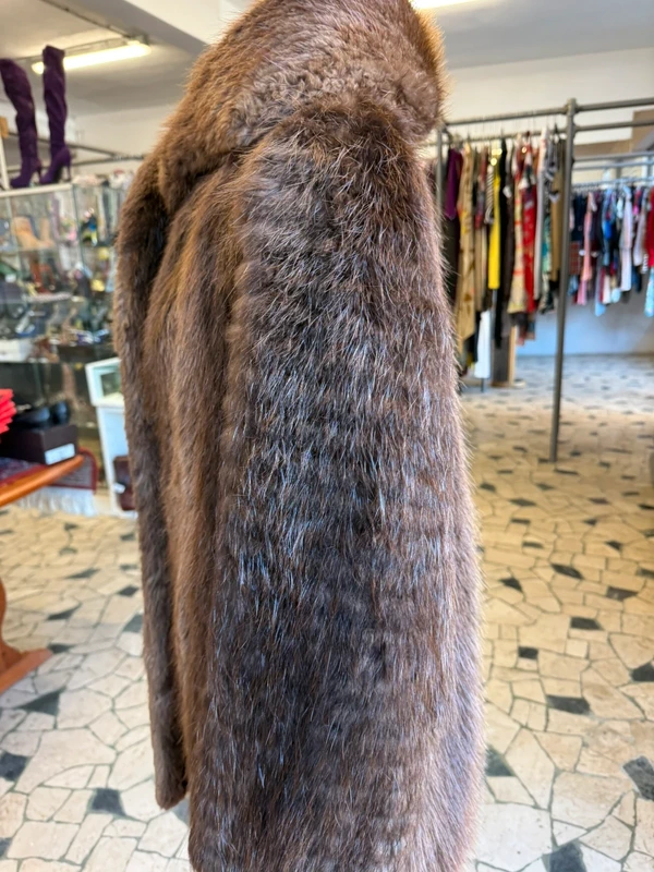 Elegantissima marmotta corta