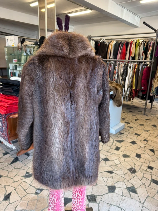 Elegantissima marmotta corta