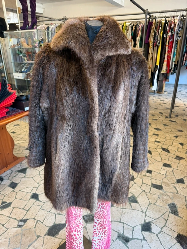 Elegantissima marmotta corta