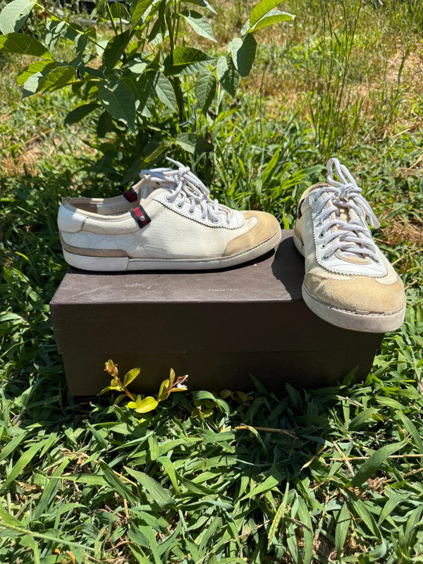 Sneaker Gucci uomo