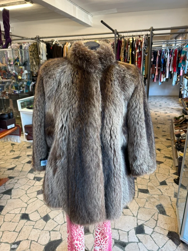 Elegantissimo procione  corto