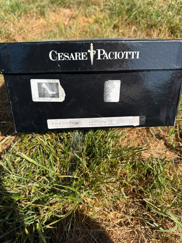 Tacchi Cesare Paciotti multicolore in pitone