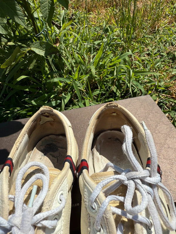 Sneaker Gucci uomo