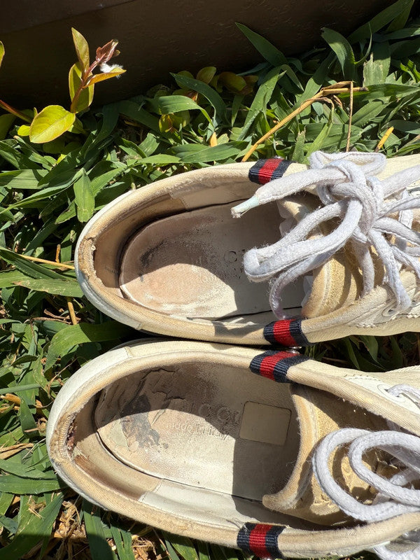 Sneaker Gucci uomo