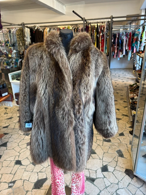 Elegantissimo procione  corto